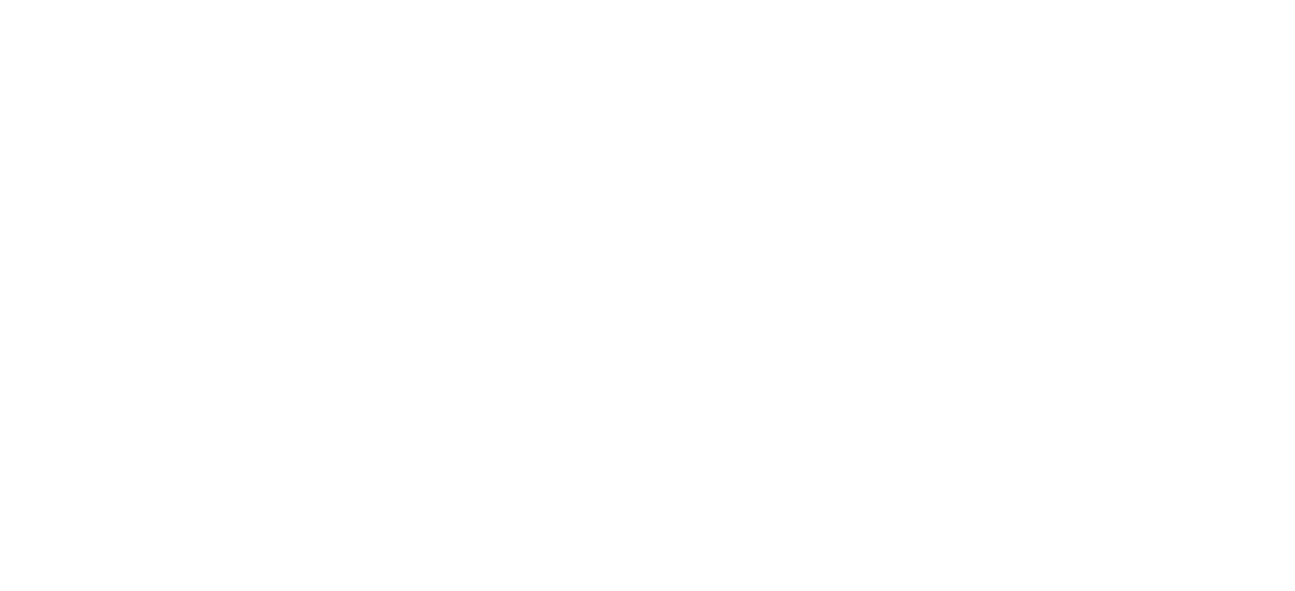 Sydney Opera House wireframe